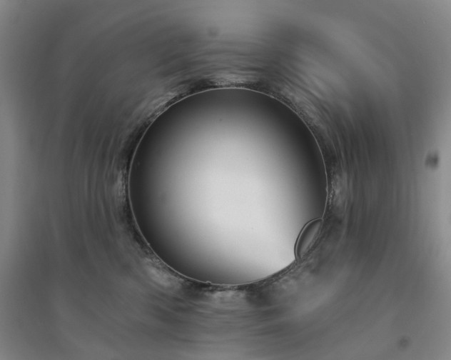 X0000094460426200711151454