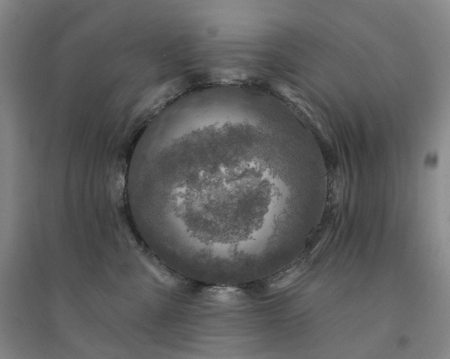 X0000094460427200711151454