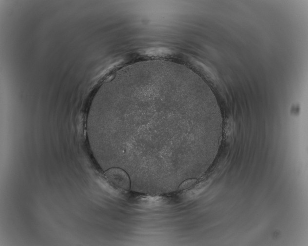 X0000094460428200711151454