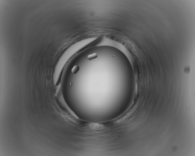 X0000094460429200711151454
