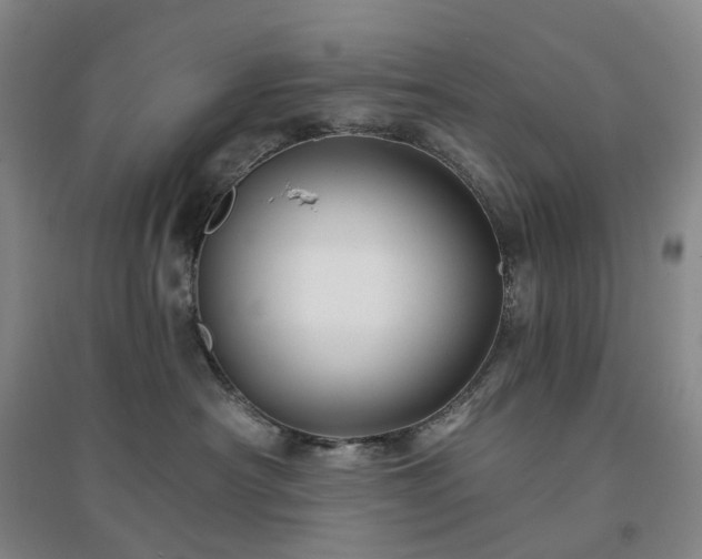 X0000094460430200711151454