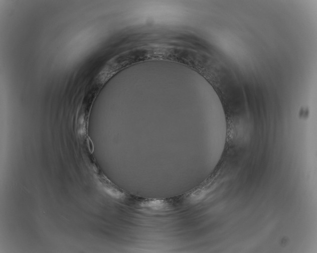 X0000094460431200711151454
