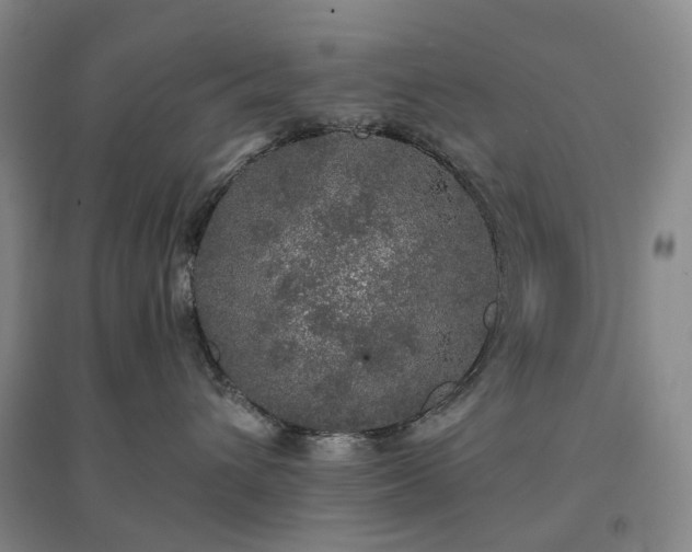 X0000094460432200711151454
