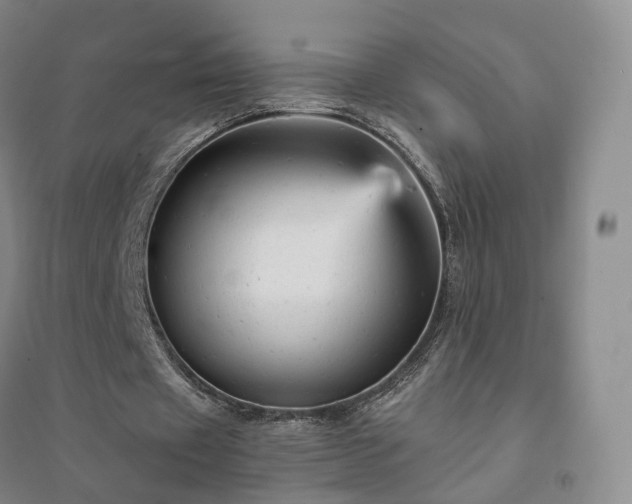 X0000094460433200711151453