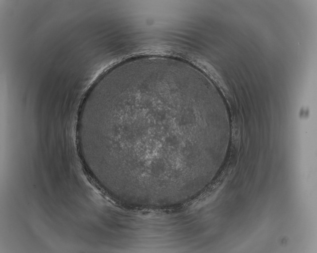 X0000094460434200711151453