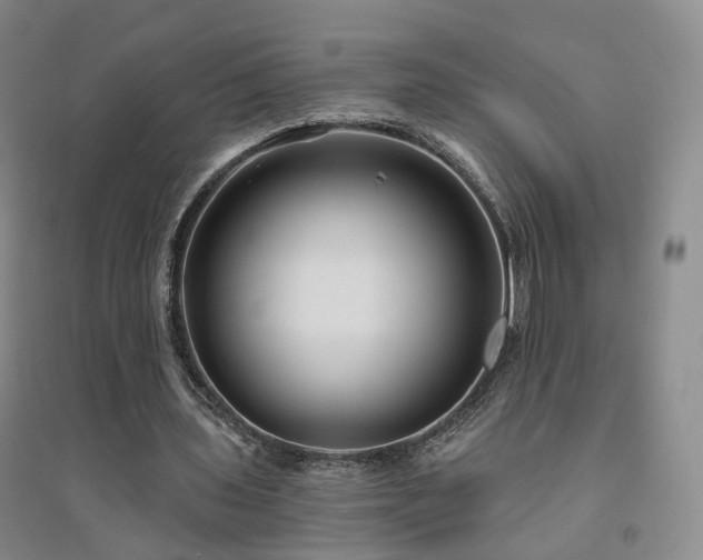 X0000094460435200711151453