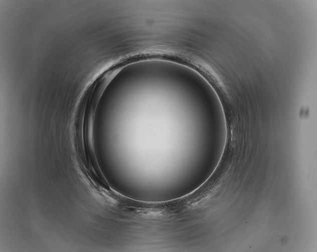X0000094460436200711151453