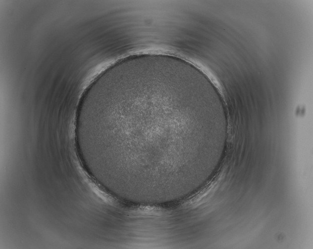 X0000094460437200711151453