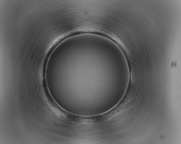 X0000094460438200711151453