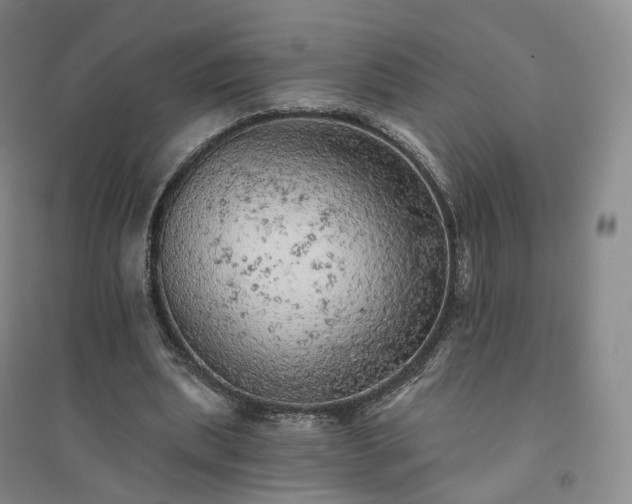X0000094460439200711151453