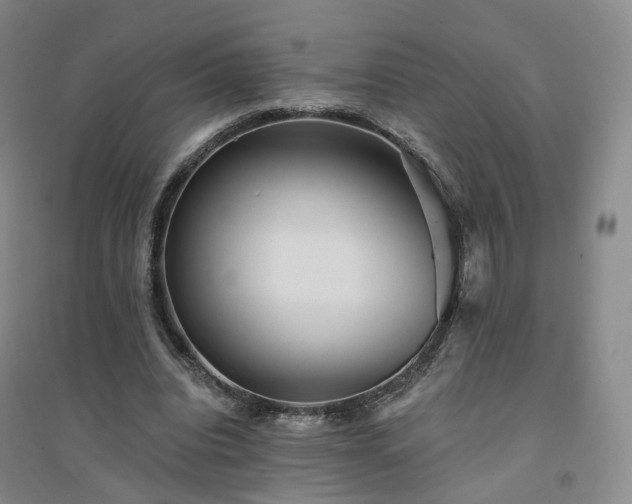 X0000094460440200711151453