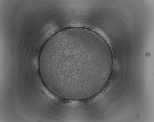 X0000094460441200711151453
