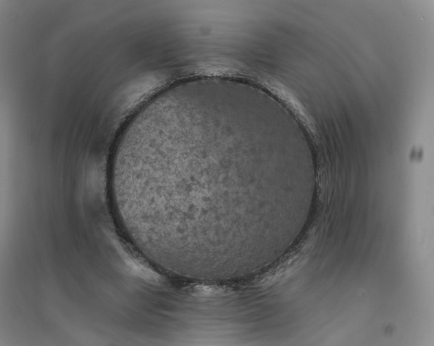 X0000094460442200711151453