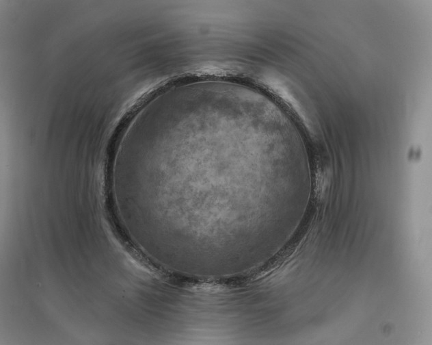 X0000094460444200711151453