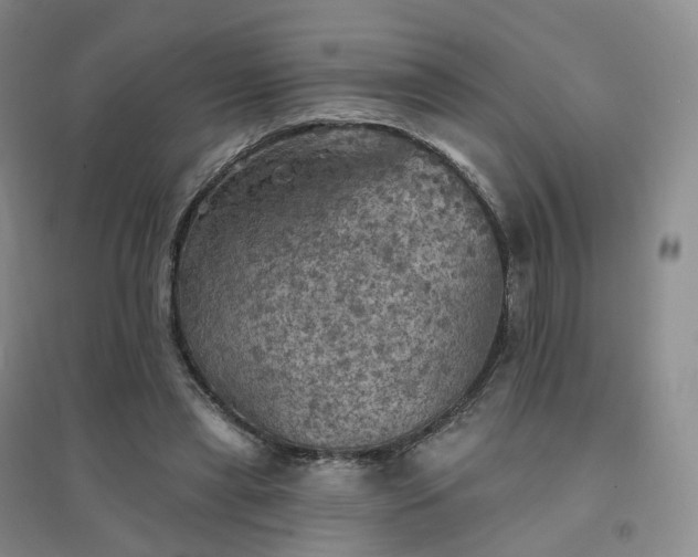 X0000094460445200711151453