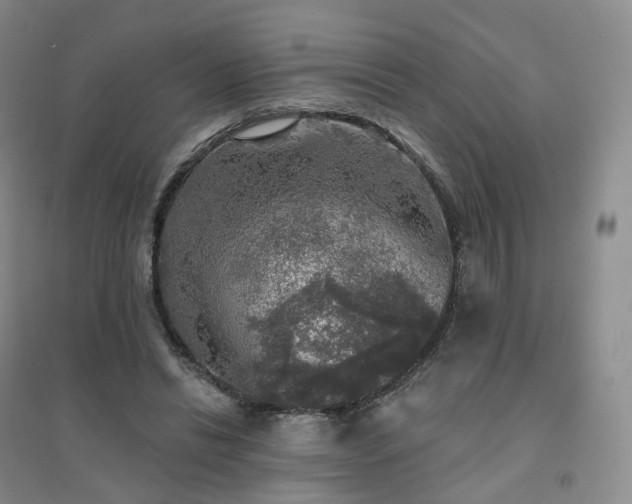 X0000094460446200711151453