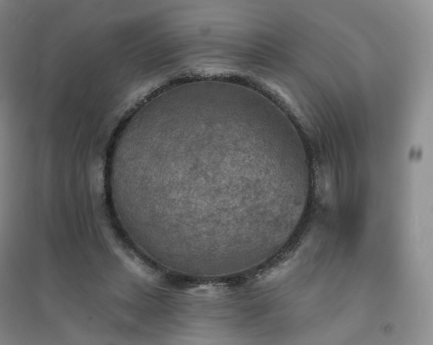 X0000094460447200711151453
