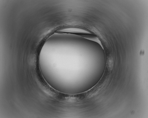 X0000094460448200711151453