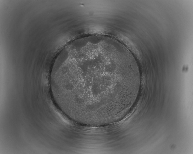 X0000094460449200711151453