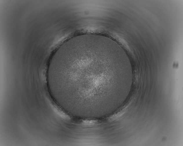 X0000094460450200711151453