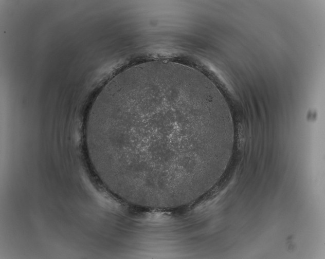 X0000094460451200711151453