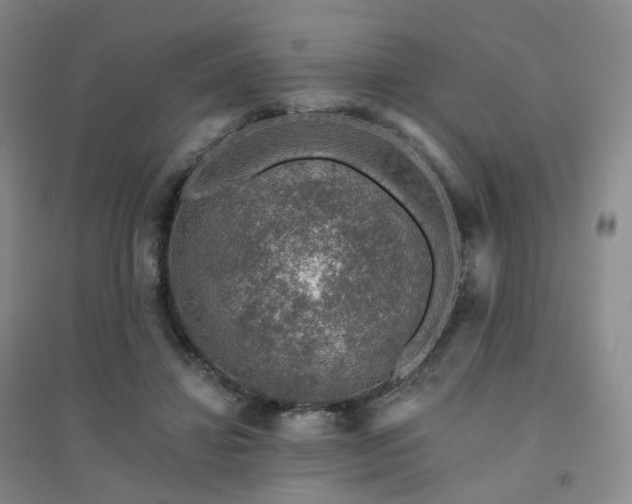 X0000094460452200711151453