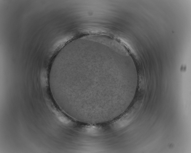 X0000094460453200711151453
