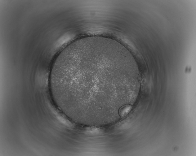 X0000094460454200711151453