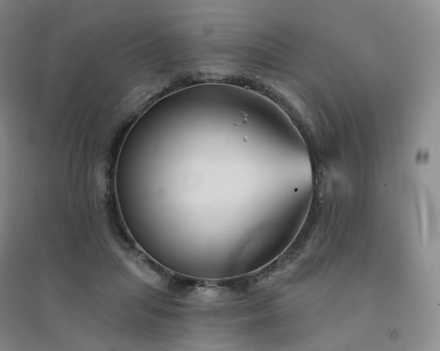 X0000094460455200711151453