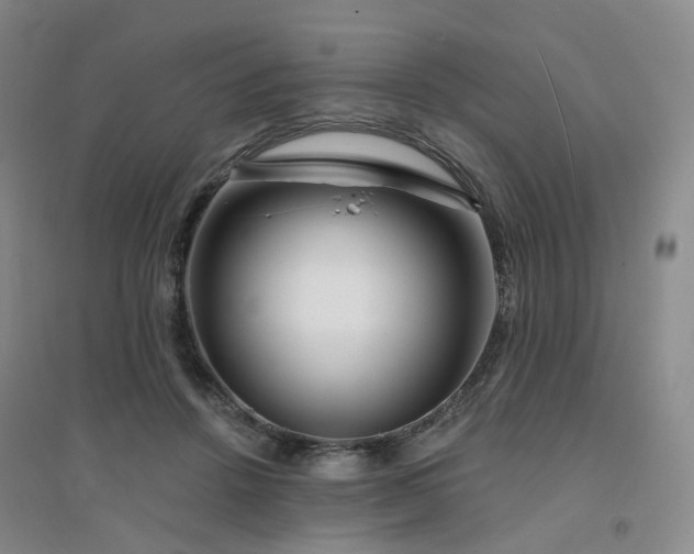 X0000094460456200711151453