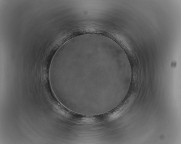 X0000094460457200711151453