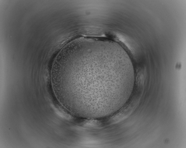 X0000094460459200711151454