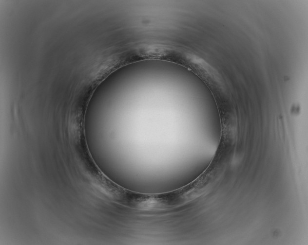 X0000094460460200711151454