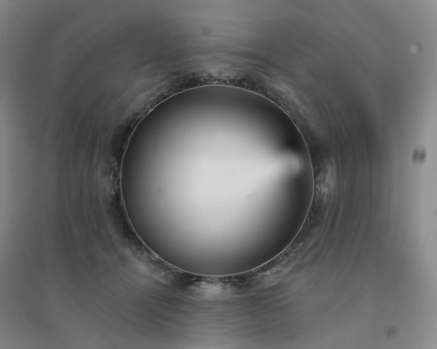 X0000094460464200711151454
