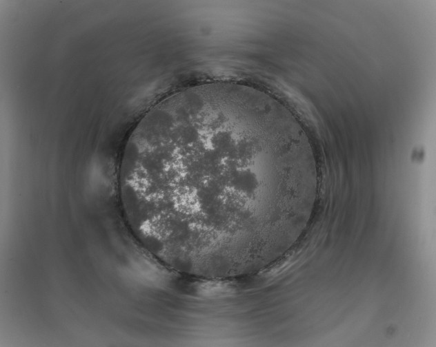 X0000094460465200711151454