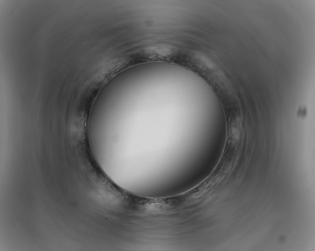 X0000094460468200711151454