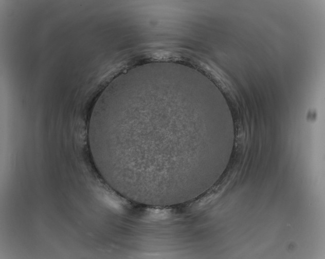 X0000094460469200711151454