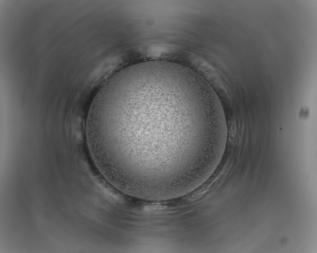 X0000094460470200711151454