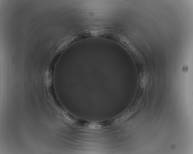 X0000094460471200711151454