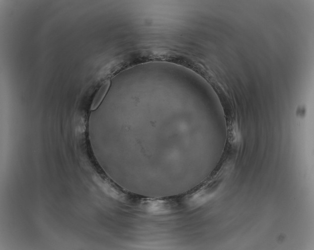 X0000094460472200711151454