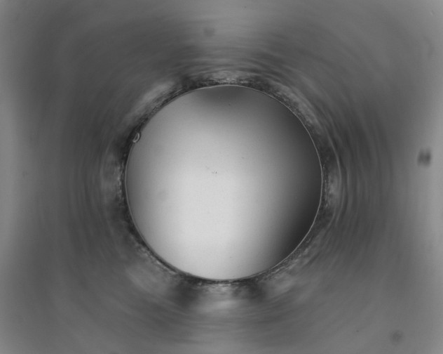 X0000094460473200711151454