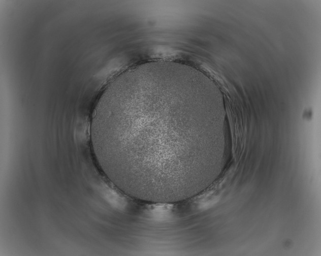 X0000094460474200711151454