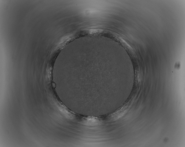 X0000094460475200711151454
