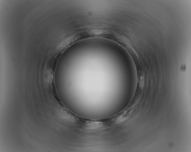 X0000094460476200711151454