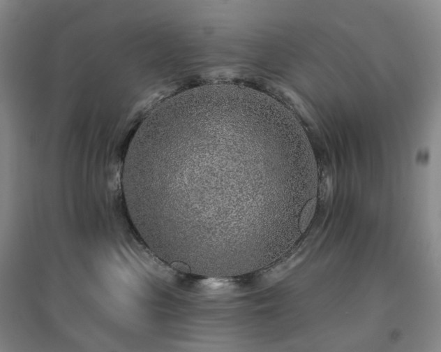 X0000094460477200711151454