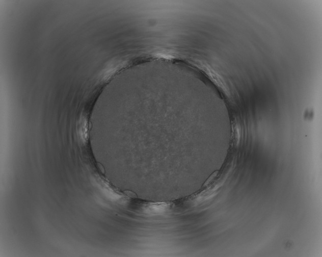 X0000094460479200711151454
