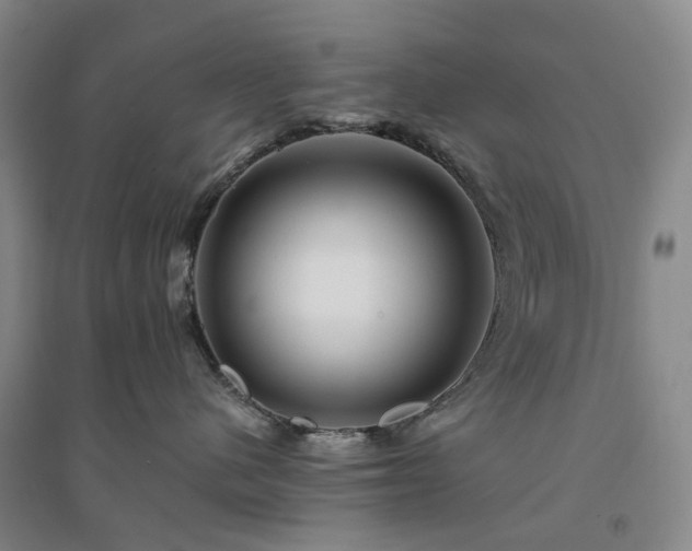 X0000094460480200711151454