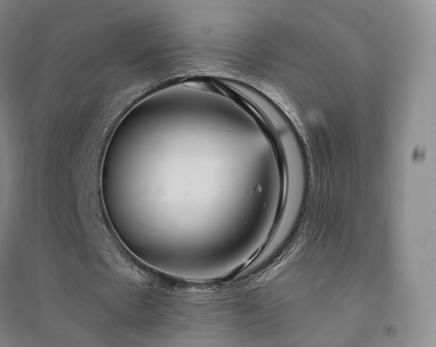 X0000094460481200711151453