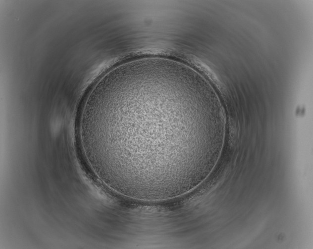 X0000094460482200711151453