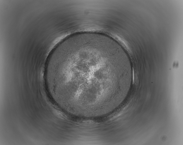 X0000094460483200711151453